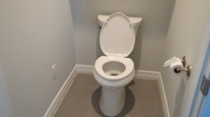 Just a toilet.....and an outlet.....